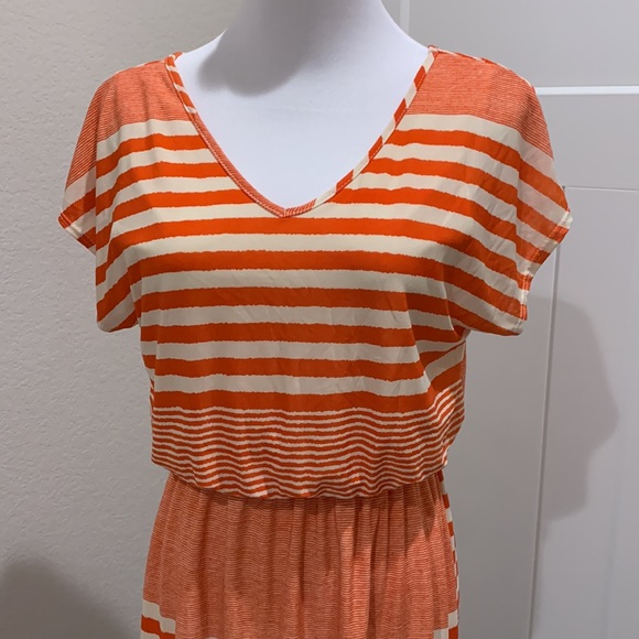 Pink Rose Striped Dress - Picture 3 of 12